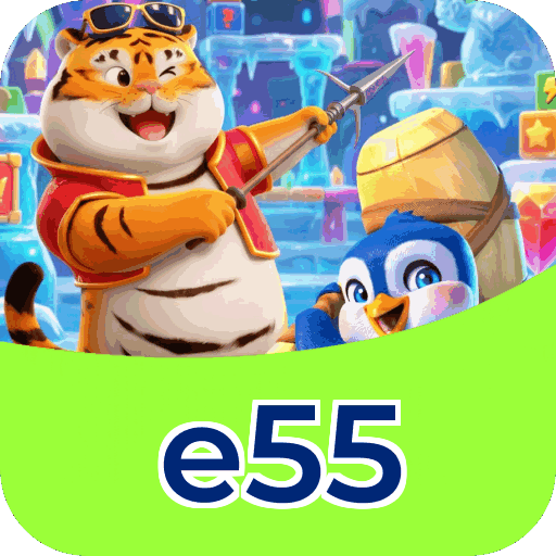 Interface e55